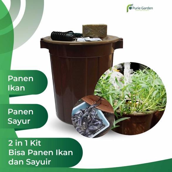 ARN Paket Aquaponik Budidaya Ikan Dalam Ember (BUDIKDAMBER) PG SBY