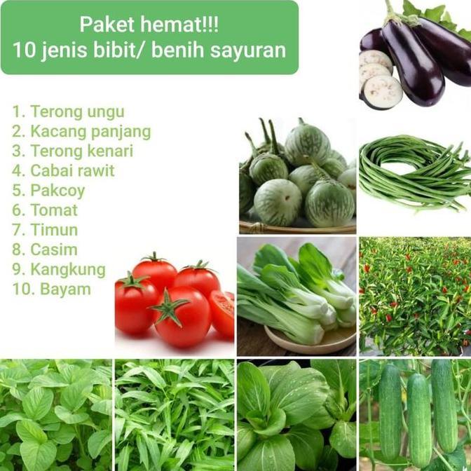 Tmn- Paket Benih Bibit Sayuran Isi 10 Jenis Sayuran Dan Buah
