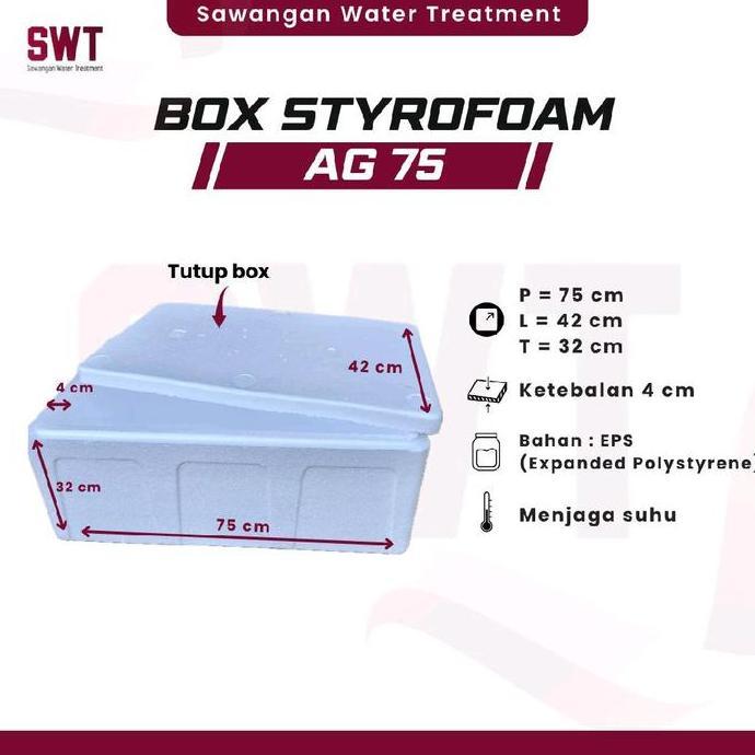 Orgnzr- Box Styrofoam Ag 75 / Box Ikan / Box Sayur / Gabus / Cool Box