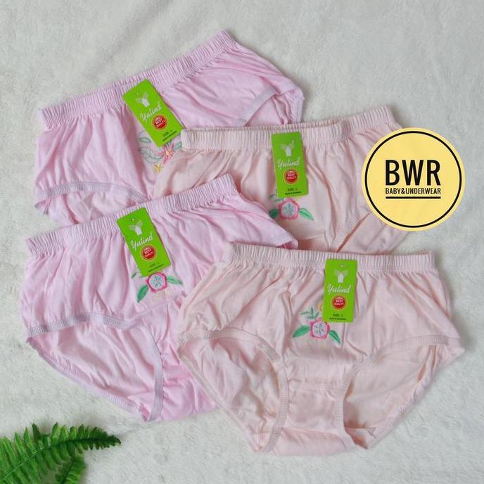 CD Yutind Bordir Motif Bunga Isi 6 dan 3 Pcs Celana Dalam Yutind Wanita Motif Bordir Dewasa Bwr
