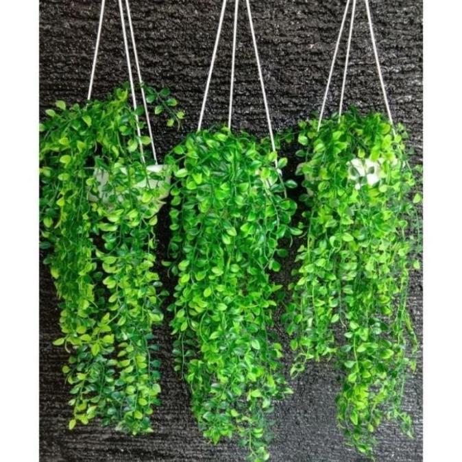 3 set pot gantung dan bunga juntai kemuning artificial plastik