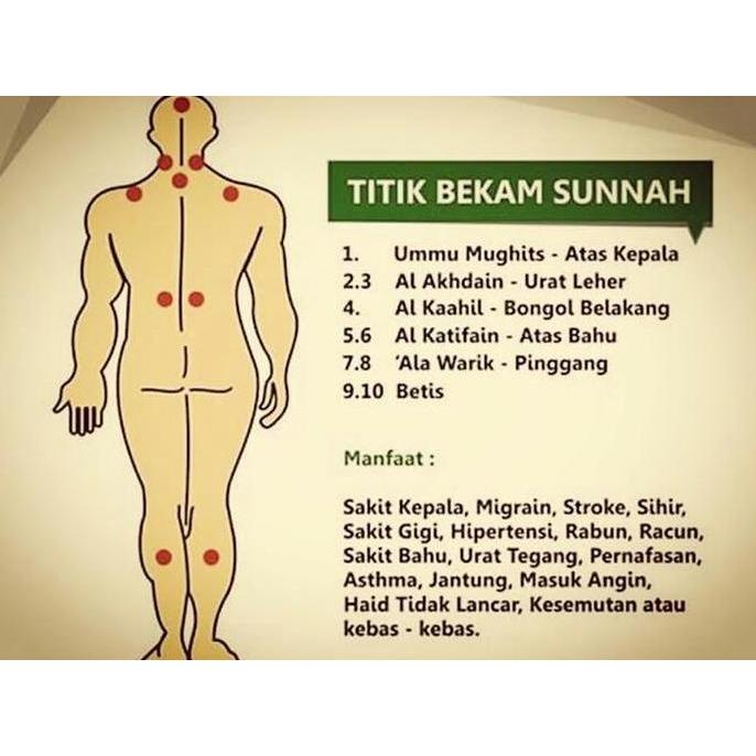 Medikit- Alat Terapi Bekam Set Isi 6 Tabung Gelas 1 Seat Box Cup Badan Komplit Kop Angin Becam Tubuh