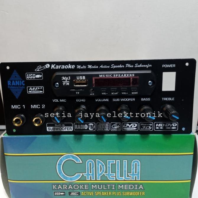 Kit Power Aktif Speker Mic Echo Subwofer Plus Mp3 High Quality