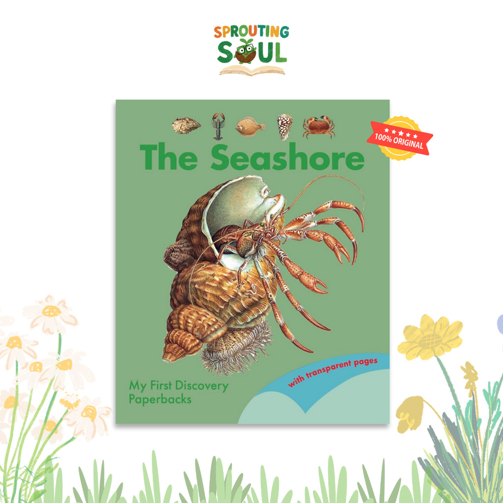 My First Discoveries - Seashore - Soft Cover - Moonlight Publishing