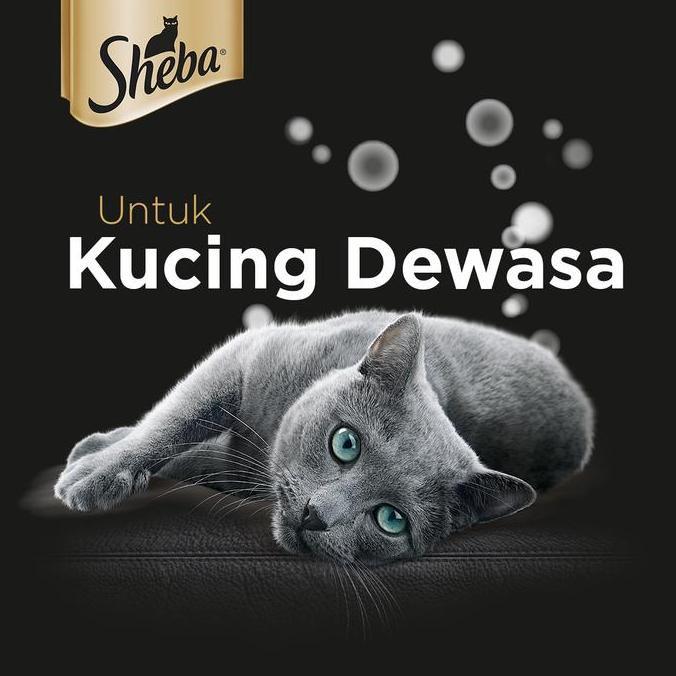 Zesukei- Sheba Pouch Isi 12 -  Sheba Pouch Wet Food