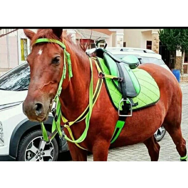 -VY- Pelana Kuda Full Set Ukuran Mini Besar