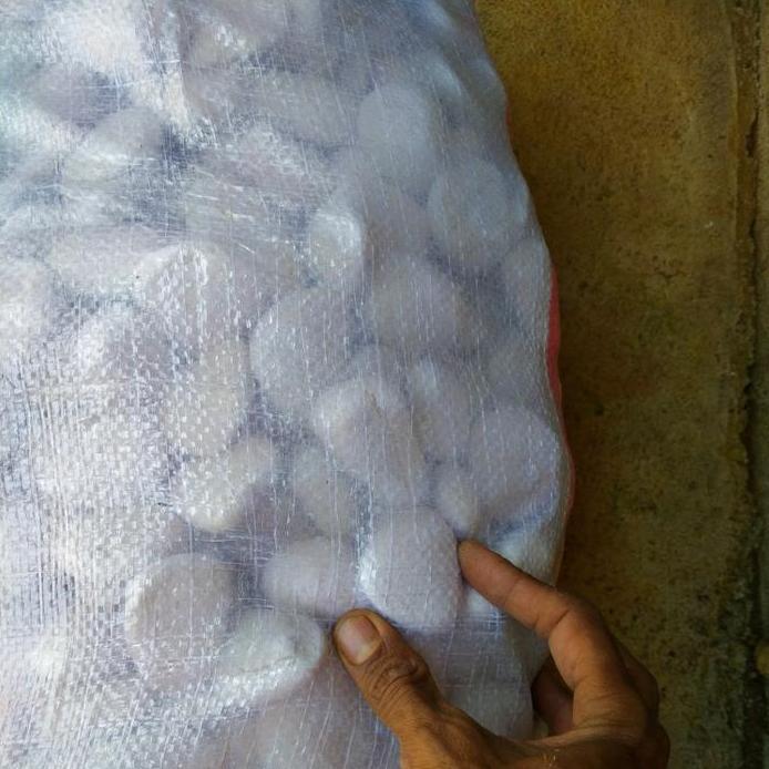 batu taman koral karung