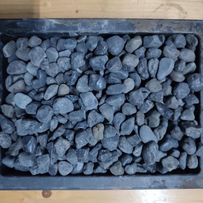 Batu Hitam Alor Bali (Batu Alam Koral Sikat Pekat Carport Lantai Garasi Hias Taman)