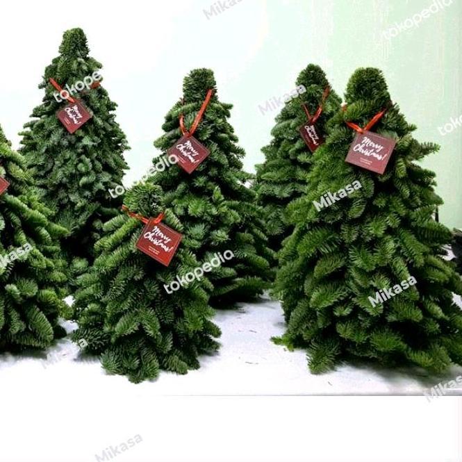 '' NOBILIS CHRISTMAS TREE ASLI IMPORT POHON FRESH ASLI //