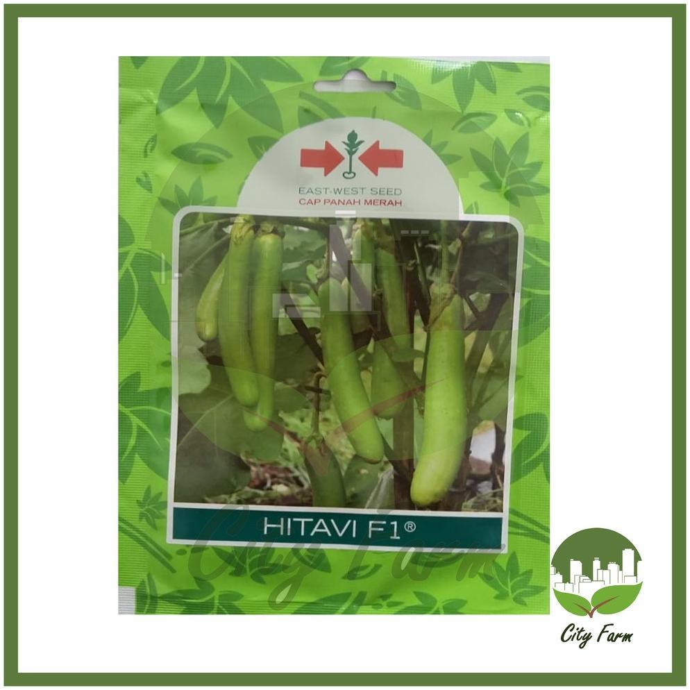 BENIH TERONG HIJAU HITAVI SP (400 BTR) PANAH MERAH