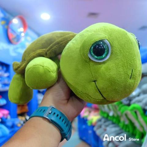 [YL] ANCOL BONEKA KARAKTER TURTLE BIG EYE | Boneka Kura Kura Mata Besar | Merchandise Dolls Toys