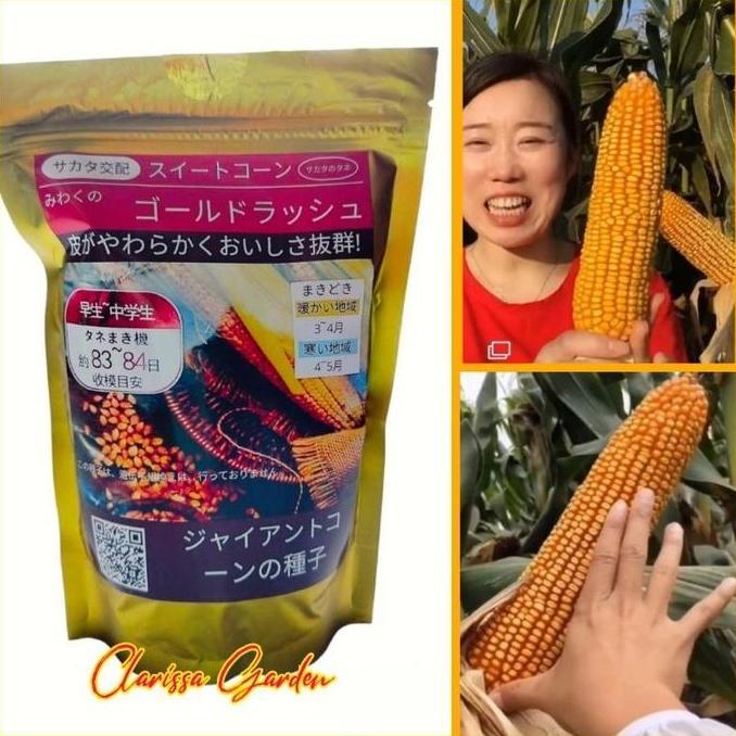 Promo BIJI/BENIH JAGUNG JEPANG RAKSASA KEMASAN PREMIUM Diskon