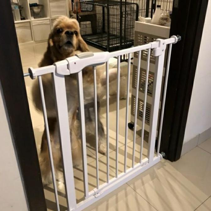 Pagar Anjing Kucing / Pagar Pembatas / Pagar Penghalang / Fence Anjing Kualitas Premium