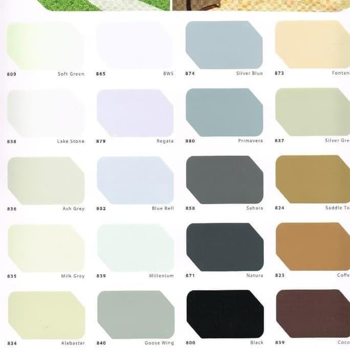 Cat Tembok Envi 25 kg / Cat Wangi