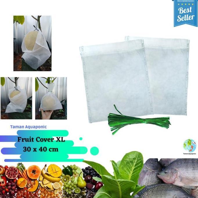 Fruit Cover/Pembungkus Buah XL 25 pcs