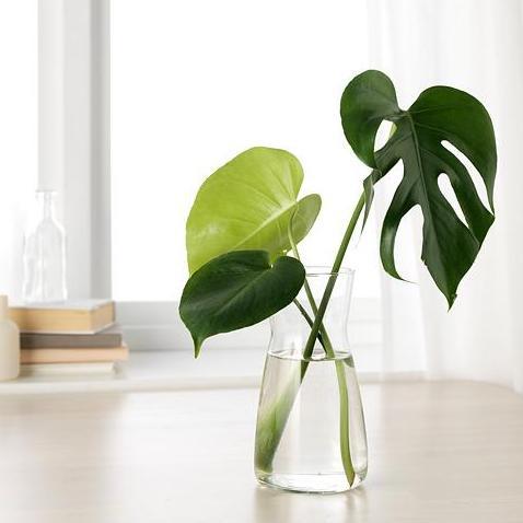 Vas Bunga tinggi 20 cm Kaca