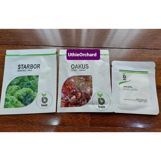 Benih Bejo Seed - Selada Batavia Sementel Kemasan 1000 pills
