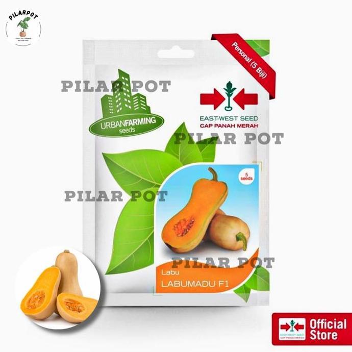 benih bibit labu madu f1 cap panah merah - LABU MADU F1