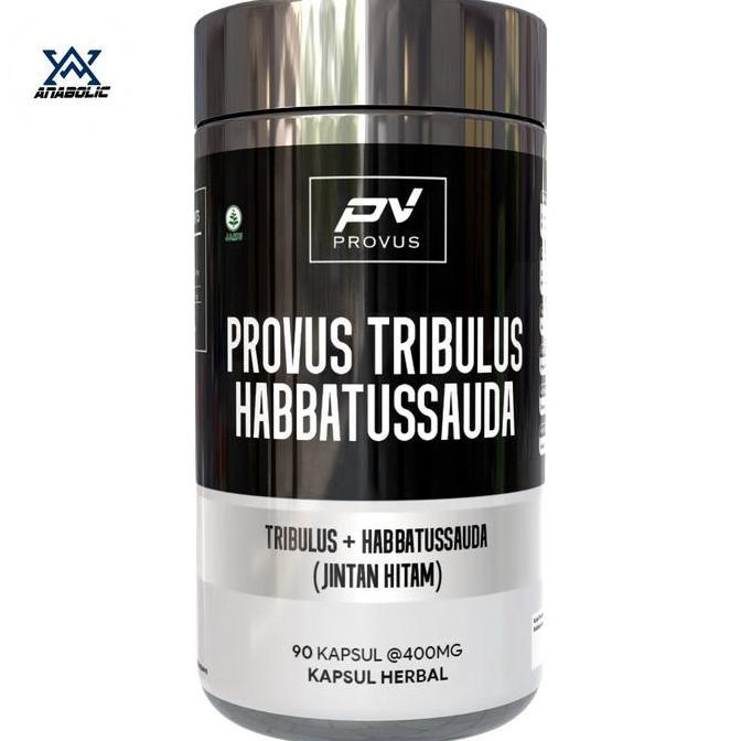 PROVUS TRIBULUS + HABBATUSSAUDA 90 CAPSUL TESTO TESTOSTERONE BOOSTER BPOM ORIGINAL 