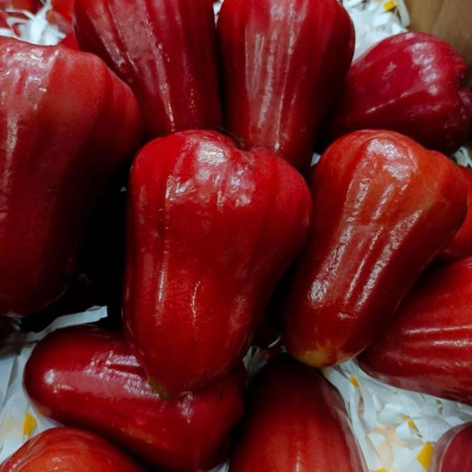 Frutting- Jambu Air | Jambu Air Merah | Jambu Air Super | Jambu Air Premium -1Kg