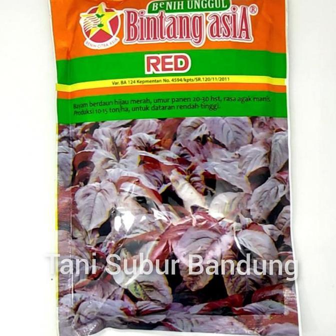 Benih Bayam Merah Red 500 gr