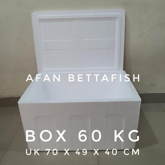 STYROFOAM BOX 60KG 70 x 49 x 40 CM BOX STEREFOAM 60 KG