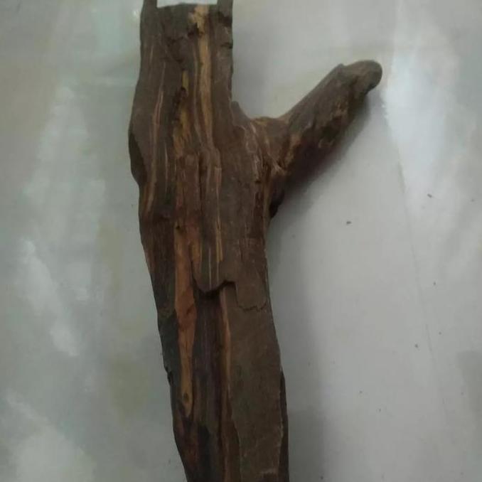 Kayu Gaharu Kalimantan