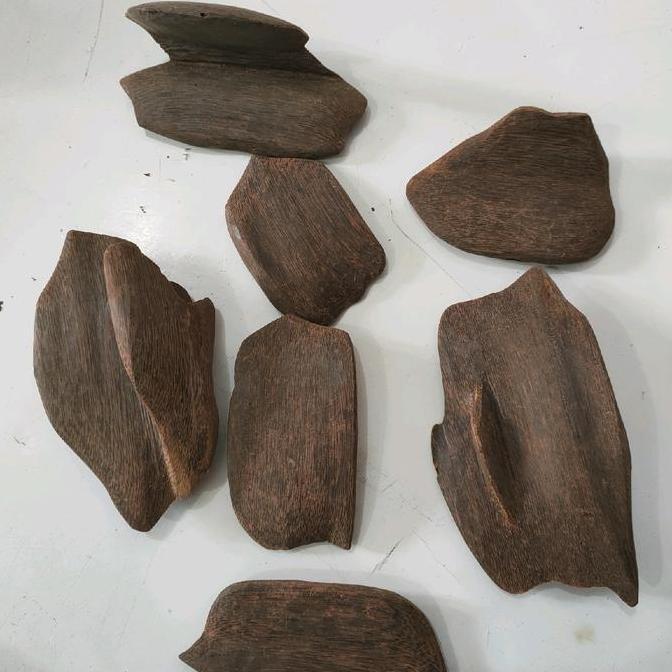 kayu gaharu papua indonesia