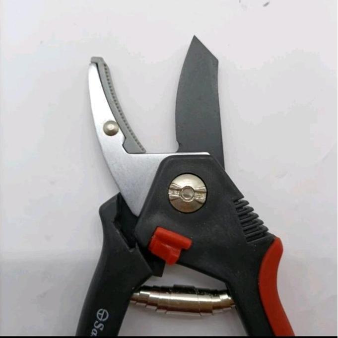 Tang Gunting Dahan Ranting Tanaman Hias / Bunga Santus St-828