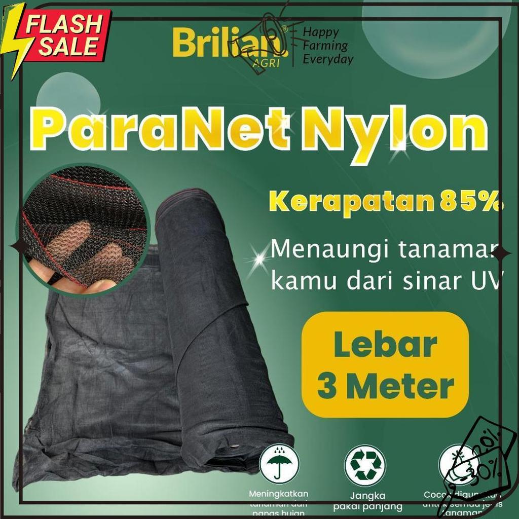 Brilian - Paranet Nylon Lebar 3 Meter 85% Meledak