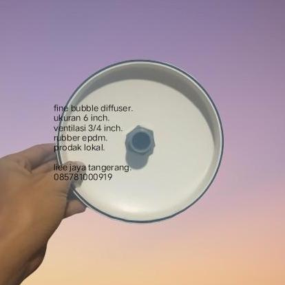 fine bubble diffuser