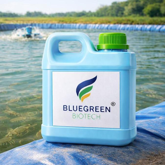 BEBAS ONGKIR - Probiotik Udang Lobster Air Tawar