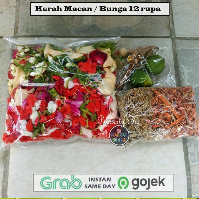 BEBAS ONGKIR - bunga kerah macan mandi / paket mandi