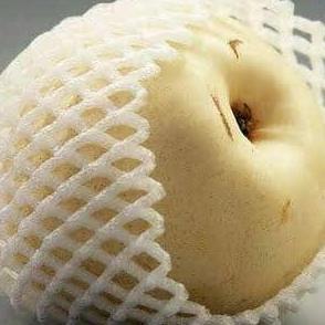 FOAM NET BUAH - JARING BUAH BUSA FOAM