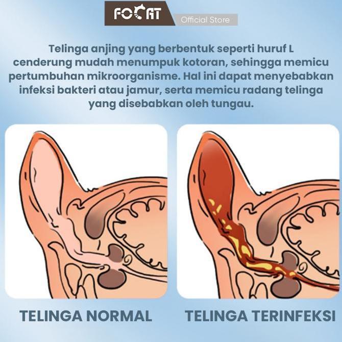 FOCAT X (ASOHI CERTIFIED) FOCAT Obat Tetes Telinga untuk Kucing & Anjing 10ML N32 Efektif Membasmi E