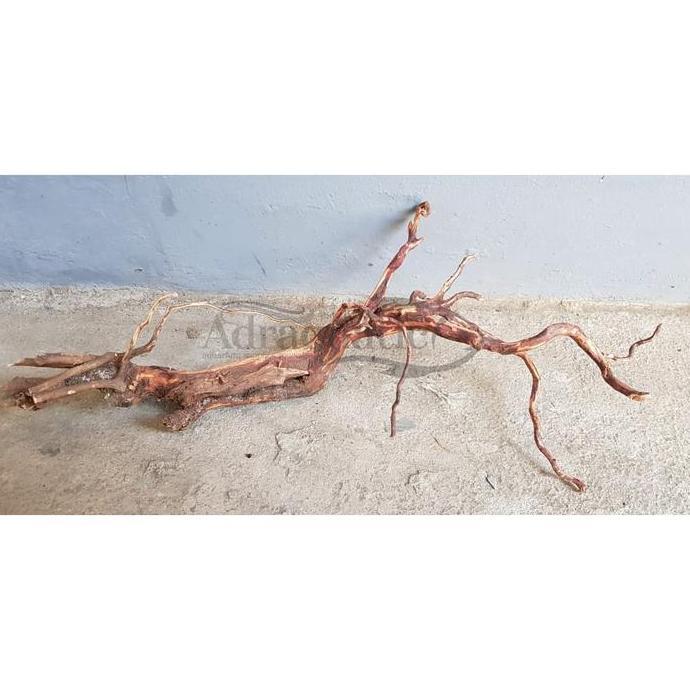 KAYU RANTING BESAR HIASAN AQUARIUM AQUASCAPE (TERBAIK) (TERBARU) (TERMURAH)