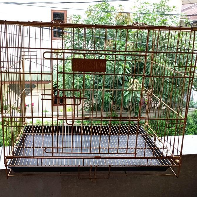 TERBARU - best in show kandang Lipat p c 02
