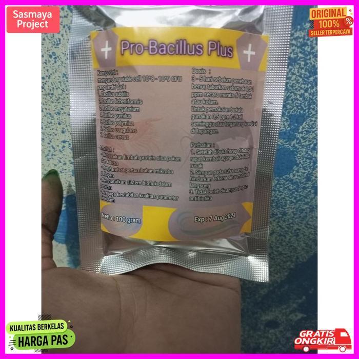Best Seller Probiotik Bacillus Plus 100 Gram / Bacillus / Probiotik Bioflok / Kolam Bioflok /  Probi