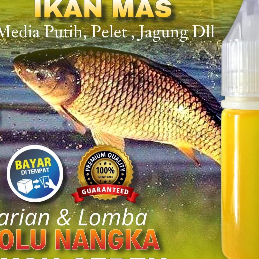 Essen Bolu Nangka Susu Sereh Kemasan 15Ml 30Ml 60Ml Paling Gacor, Essen Ikan Mas Paling Laris, Essen