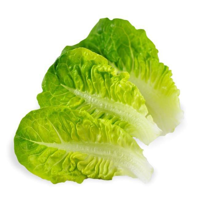 Hijaudaun- Baby Romaine Cos Lettuce 250 Gram Amazing Farm