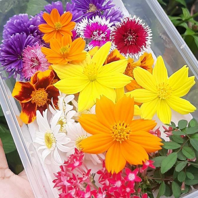 Edible flowers 30 Pcs (Flowers)