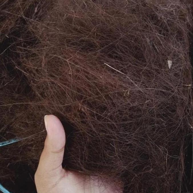 NEW Ijuk Resapan untuk Filter Air, Septic tank, Resapan Taman dll - Harga Kiloan