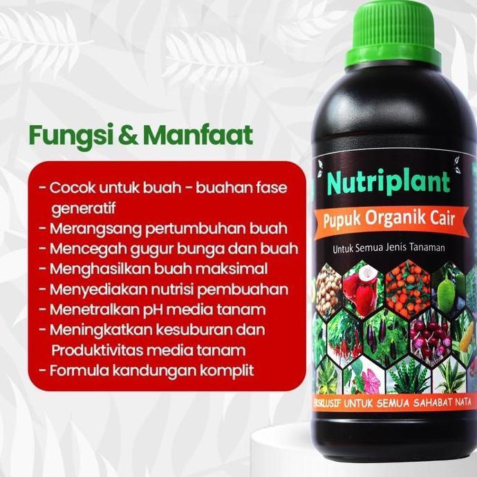 Pupuk Organik Cair Cabai | Nutrisi Tanaman Cabai | Pupuk Organik Cair Cabai Rawit murah