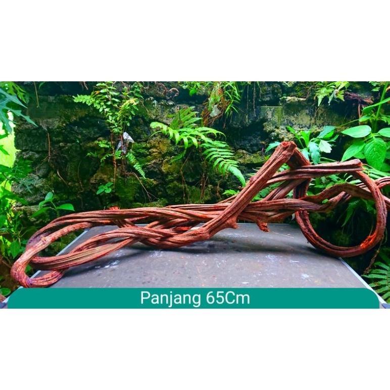 Readyy Stok Aquascape Tema Abstrak Kayu Santigi Besar