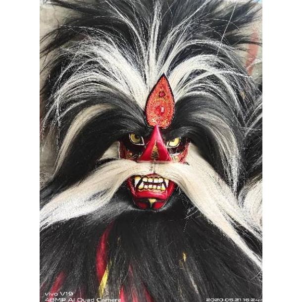 Ganongan Dewasa / Ganong Super / Barongan / Topeng / Buto