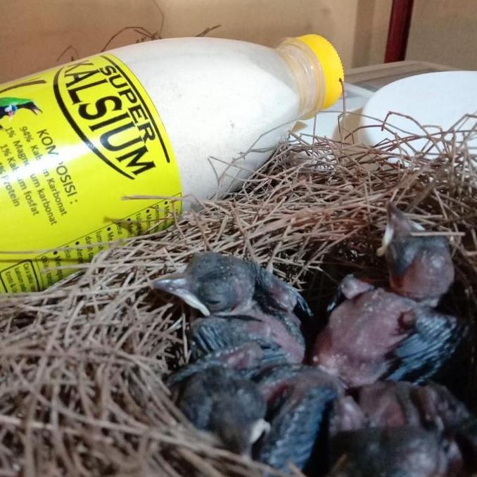 Dbutsu- Super Kalsium 500Gr Vitamin Nutrisi Wajib Untuk Ternak Burung Murai