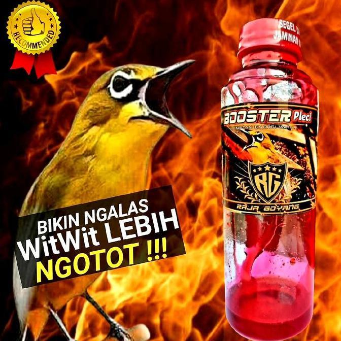 Dbutsu- Booster Pleci,Vitamin Doping Pleci Reaksi Cepat Rooll Nembak