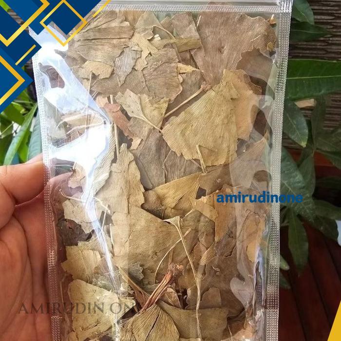 DAUN GINKGO BILOBA KERING 50 GRAM  TEH GINGKO BILOBA BEST SELLER