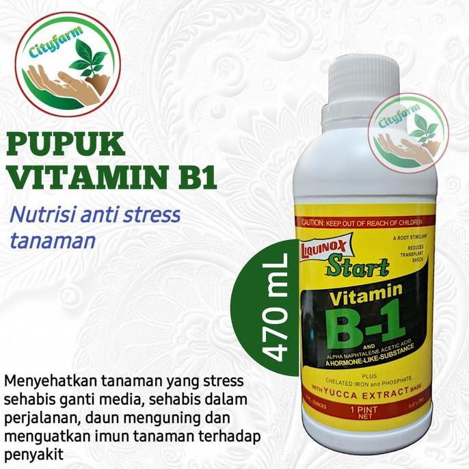 Pupuk Vit B1 Tanaman Original Usa Berhologram Daun Terbaru 