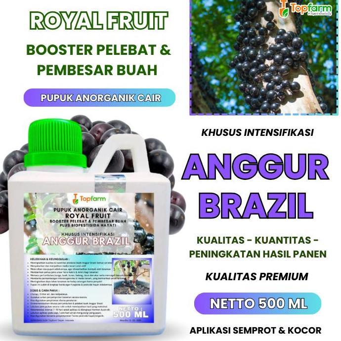 Pupuk Khusus Tanaman Anggur Brazil Pupuk Penyubur Buah Anggur Brazil Pupuk Booster Anggur Brazil Pup